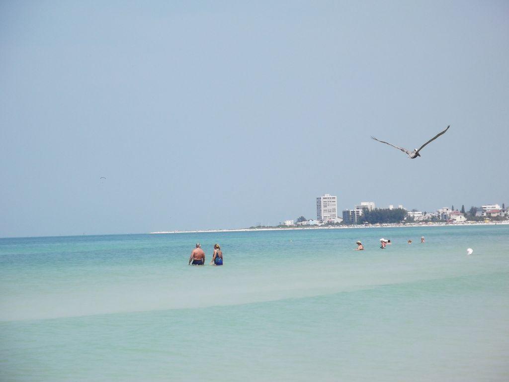 1+1 Large Condo Sarasota Zewnętrze zdjęcie