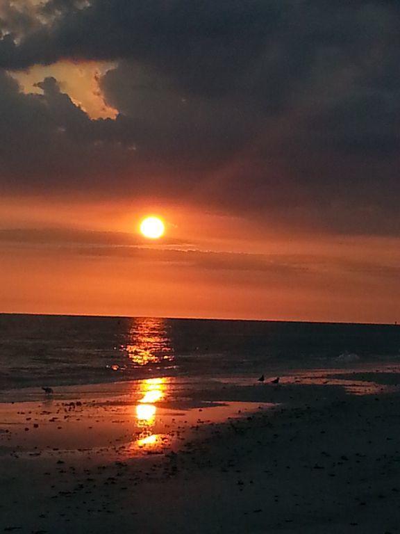 1+1 Large Condo Sarasota Zewnętrze zdjęcie