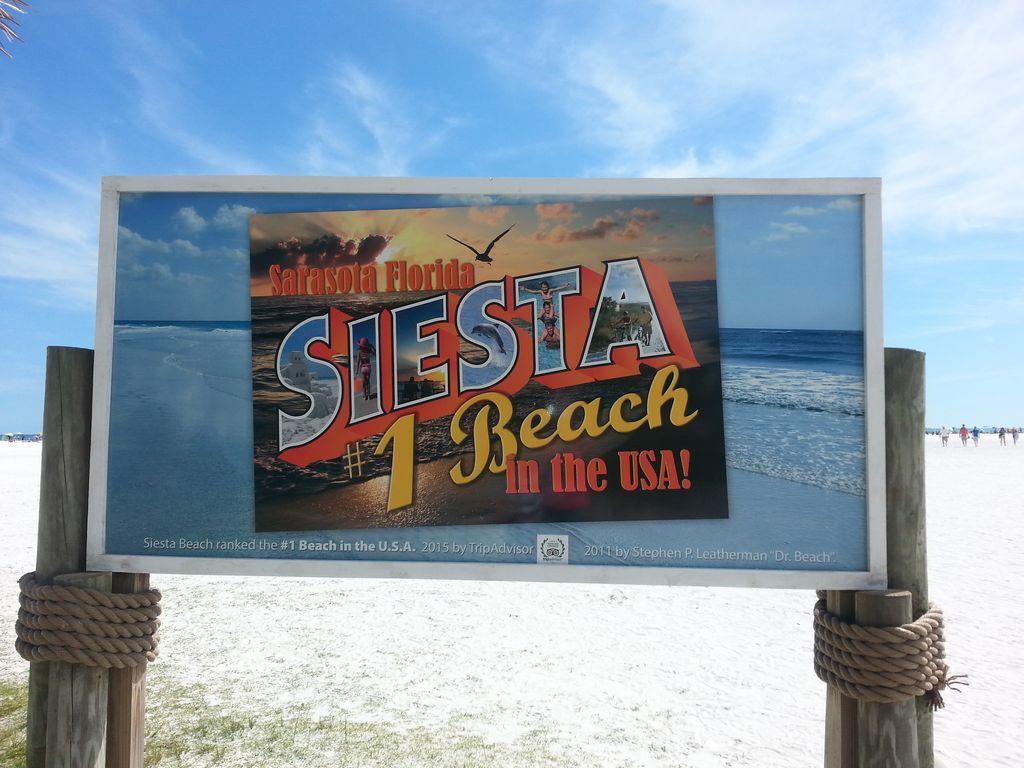 1+1 Large Condo Sarasota Zewnętrze zdjęcie